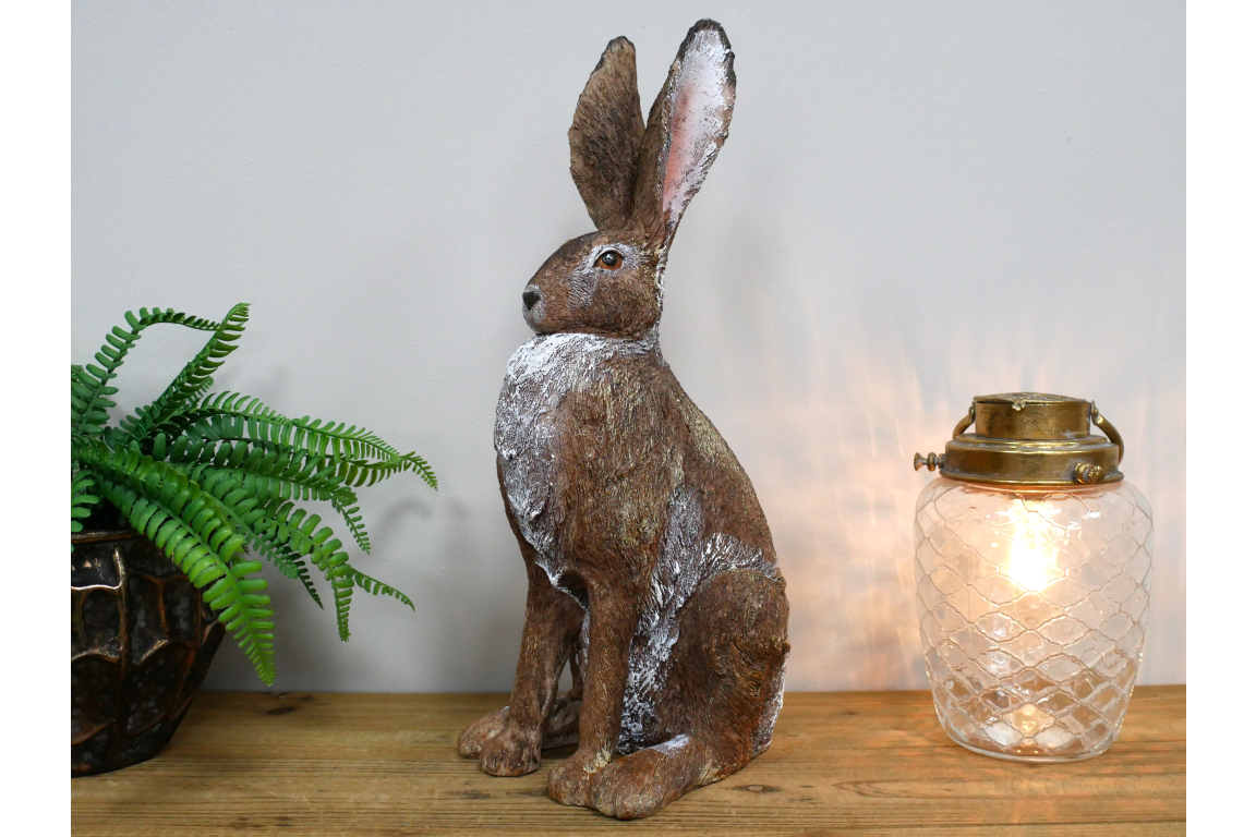 Rabbit