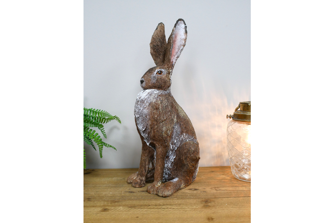 Rabbit