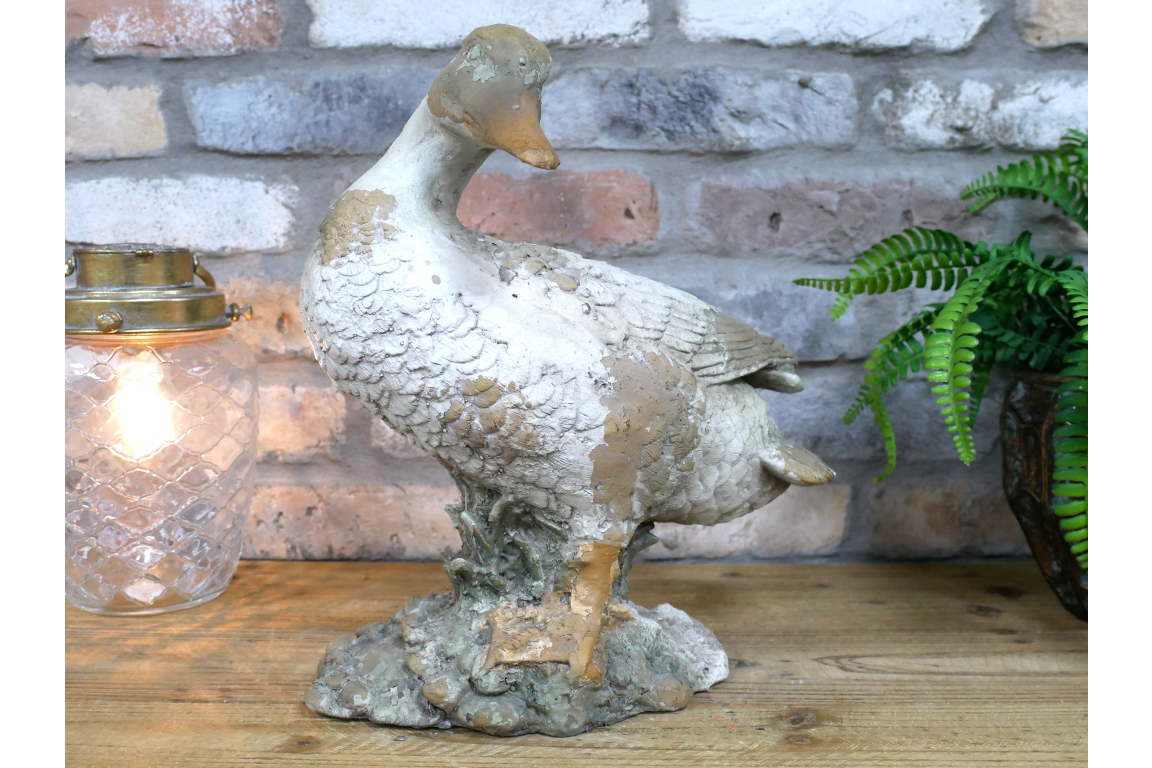 Small Duck