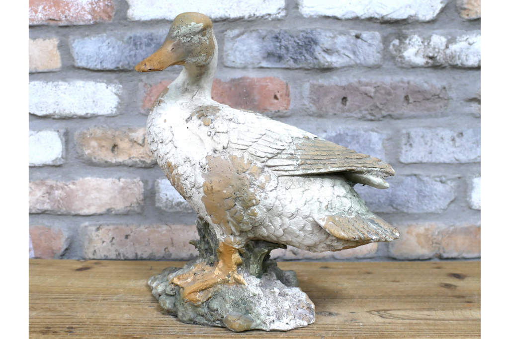 Small Duck