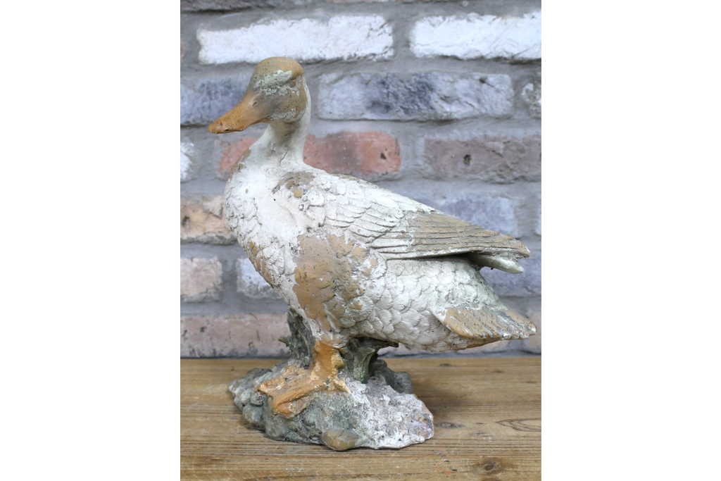 Small Duck