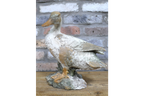 Small Duck