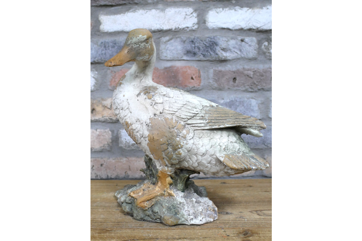 Small Duck