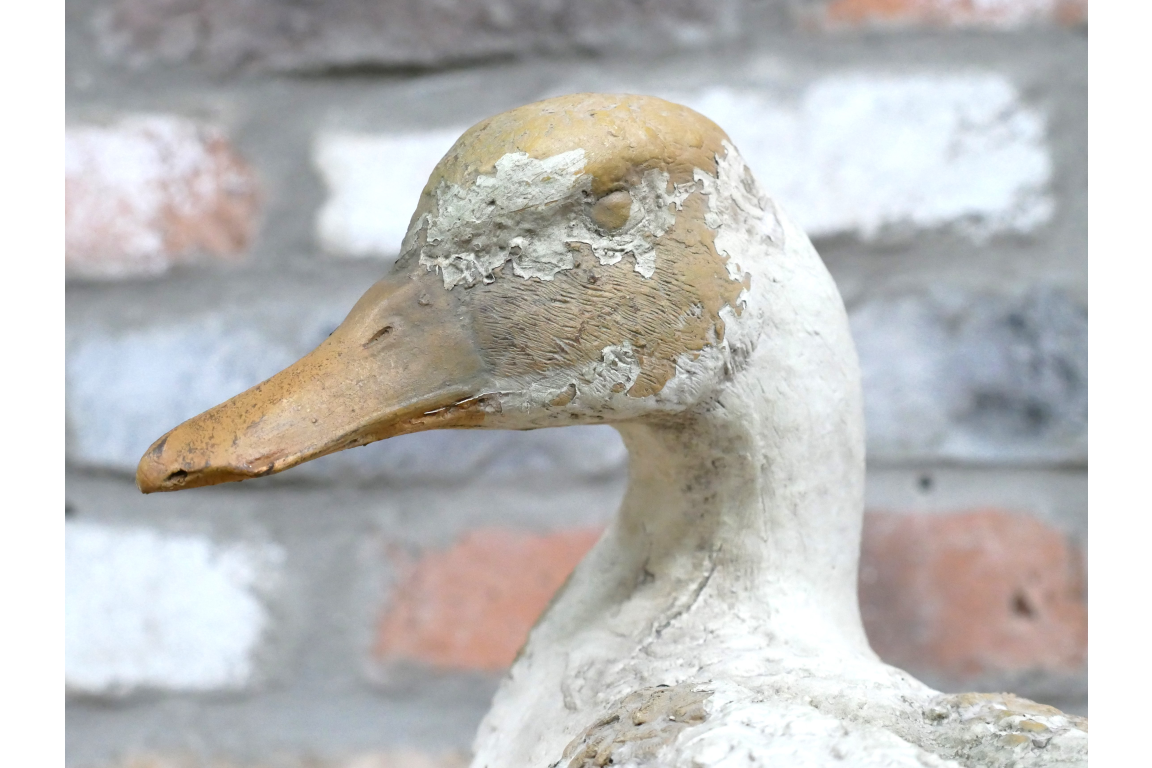 Small Duck