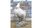 Small Duck