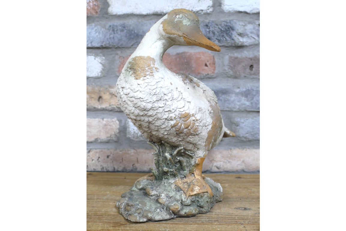 Small Duck