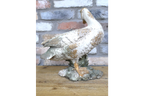 Small Duck