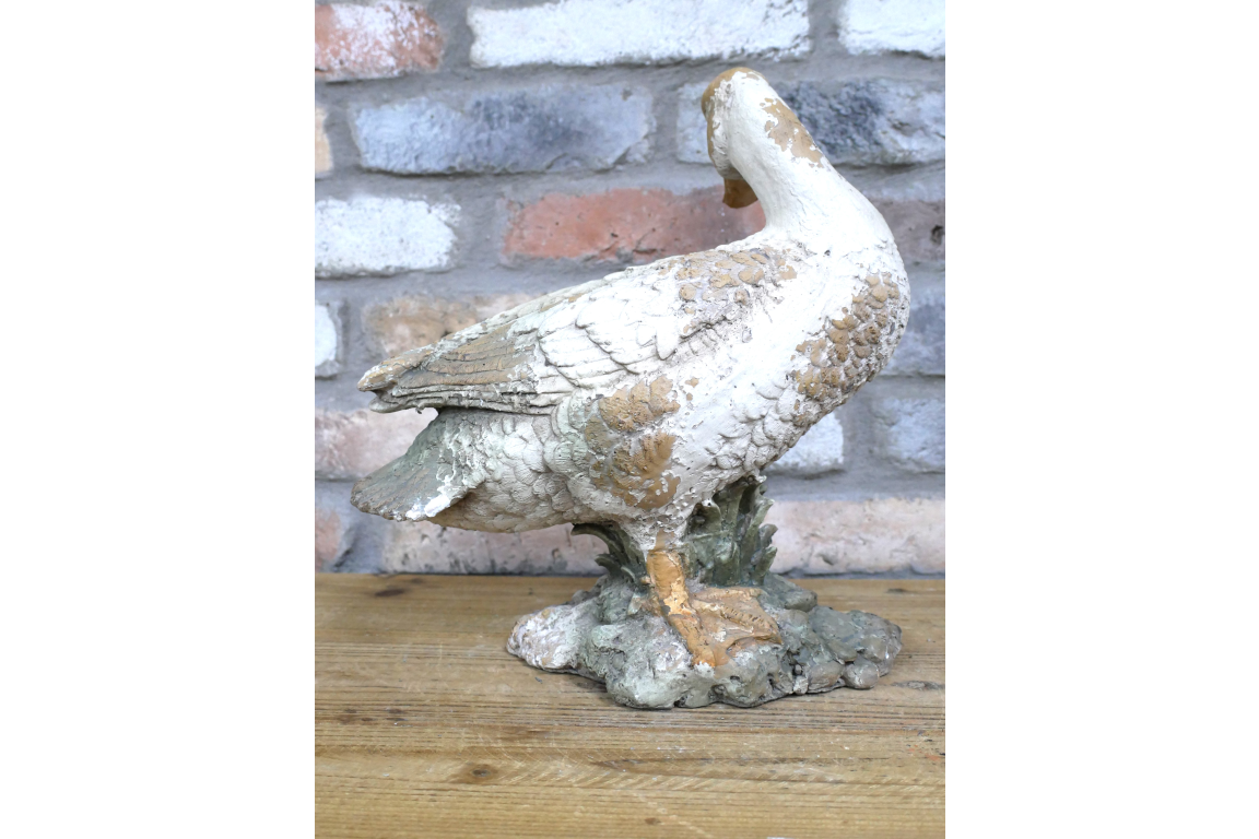 Small Duck