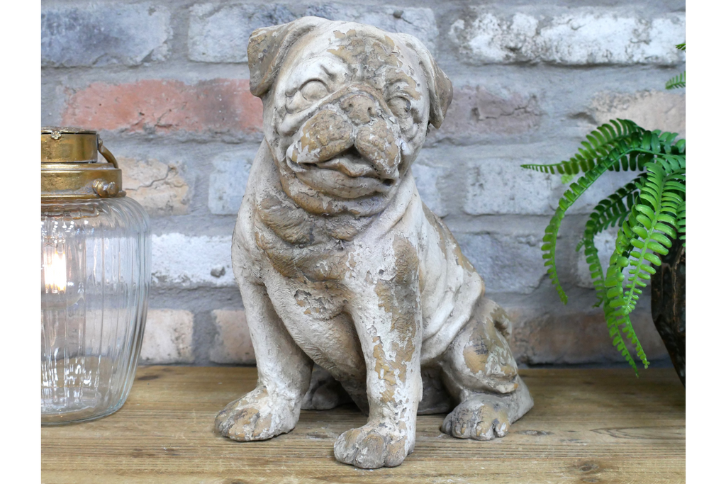 Sitting Dog