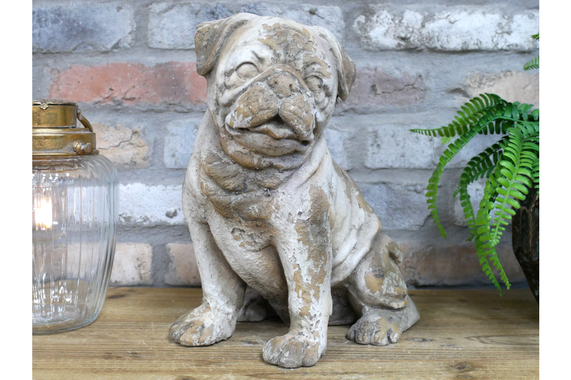 Sitting Dog