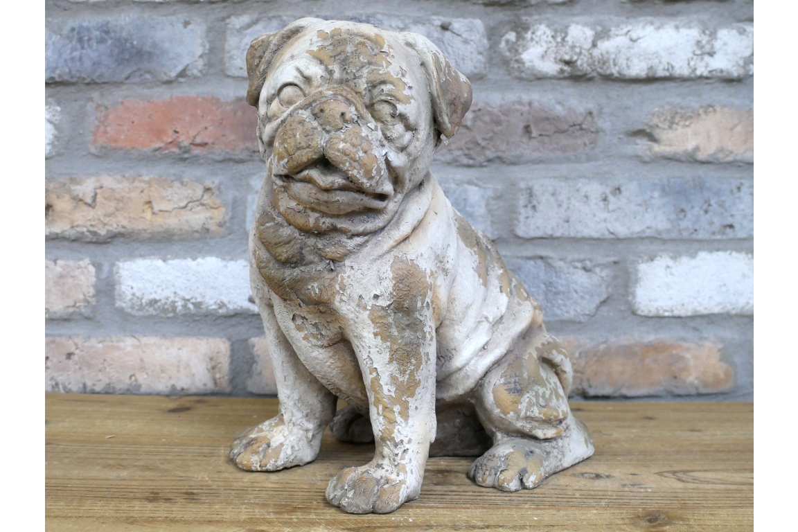 Sitting Dog