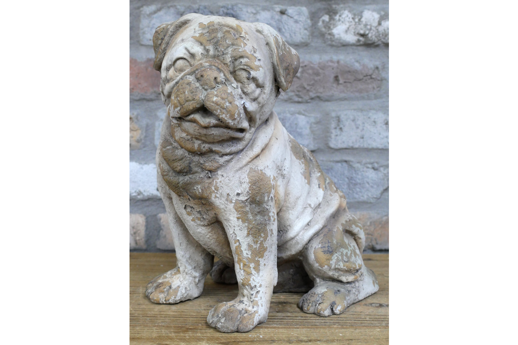 Sitting Dog