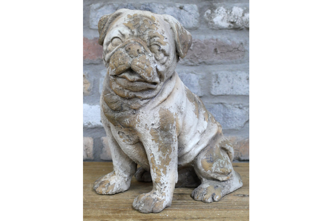 Sitting Dog