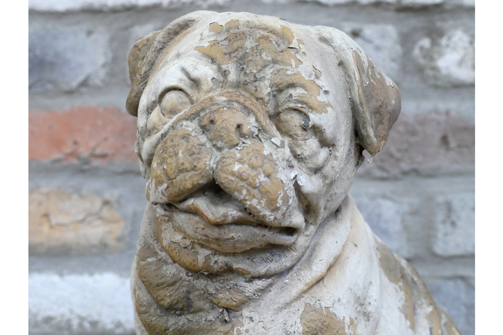 Sitting Dog
