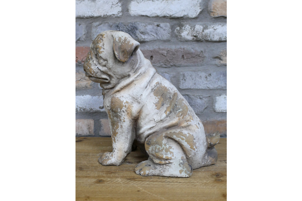 Sitting Dog