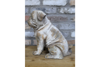 Sitting Dog