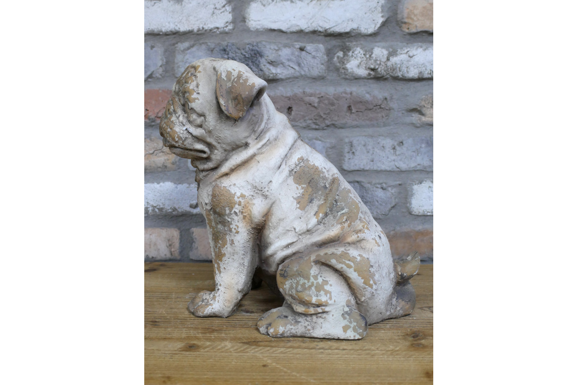 Sitting Dog