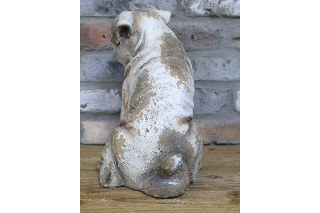 Sitting Dog