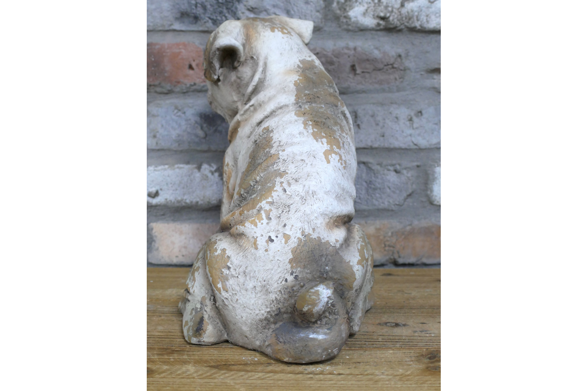 Sitting Dog