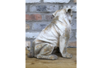 Sitting Dog