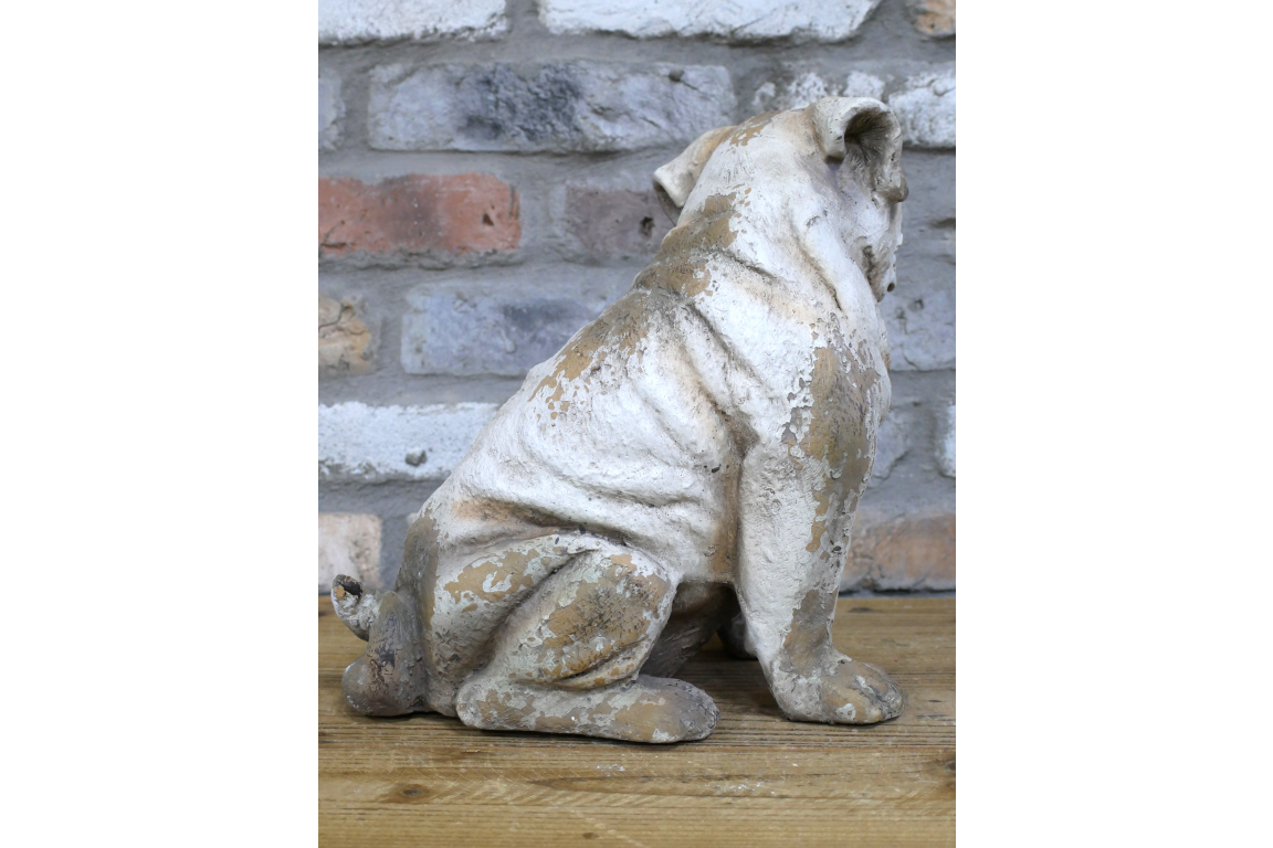Sitting Dog