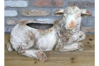 Sheep Planter