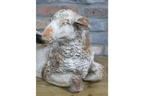 Sheep Planter