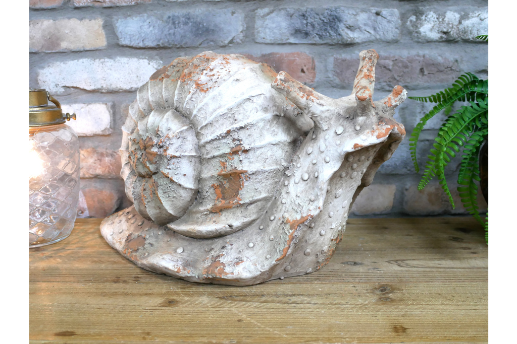 Snail