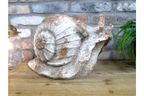 Snail