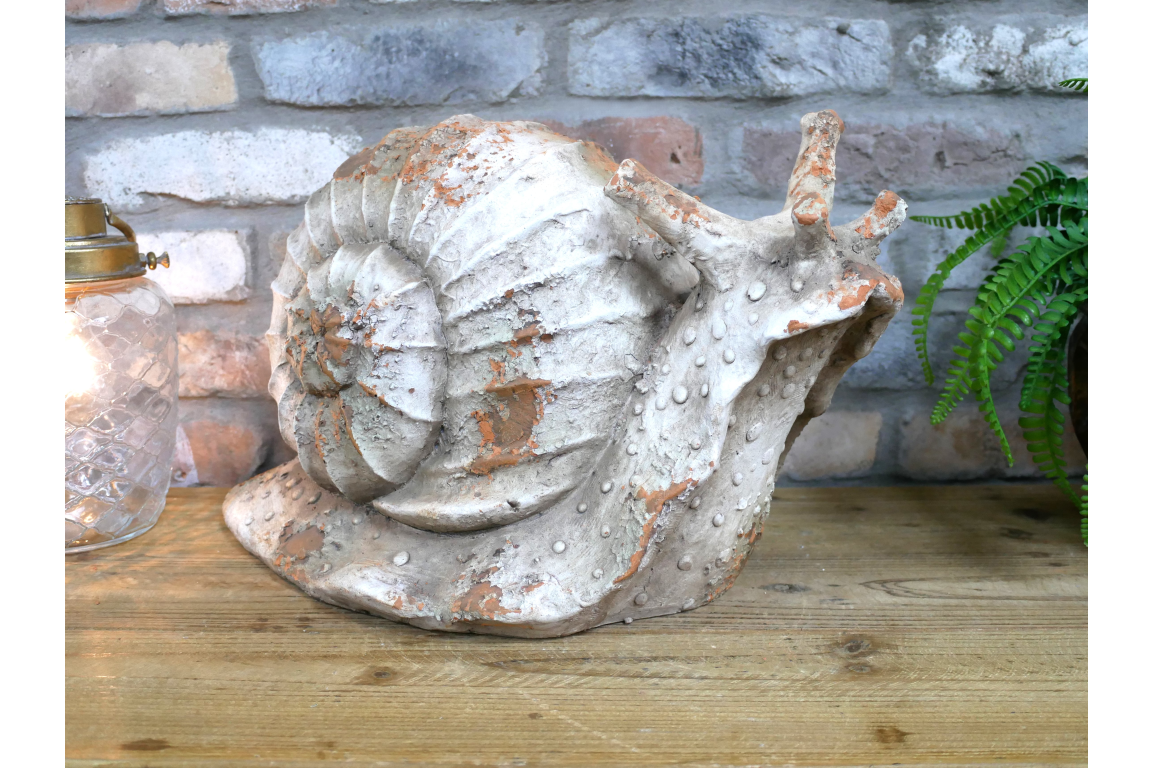 Snail