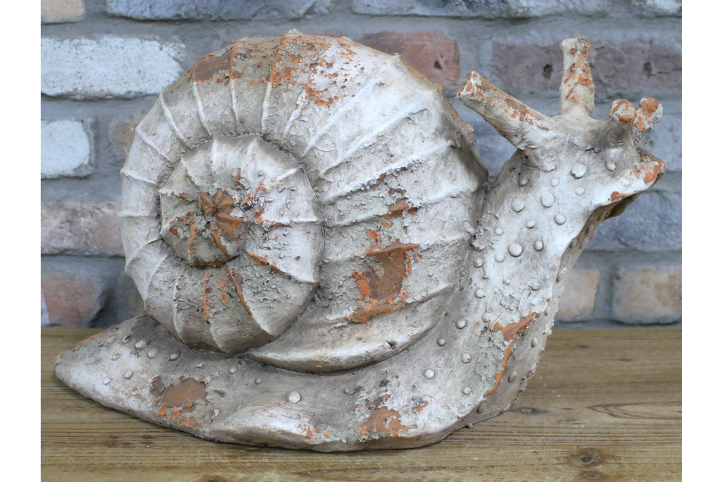 Snail
