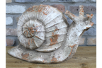 Snail