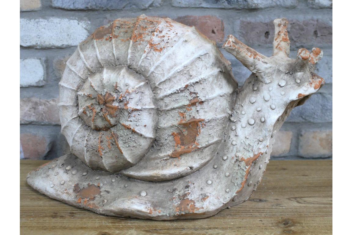 Snail