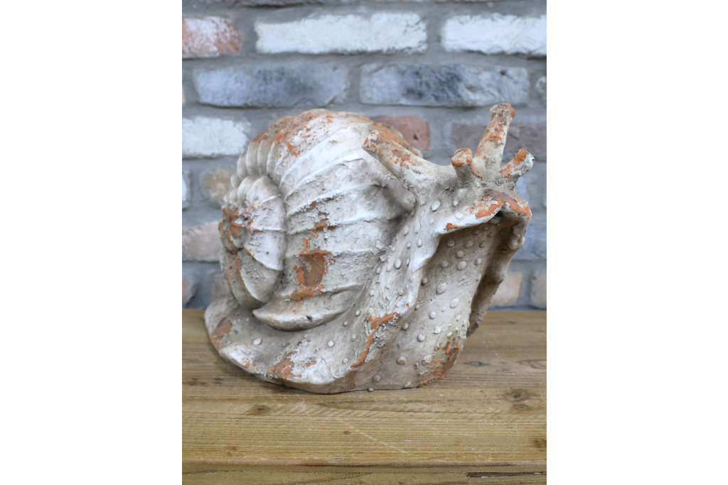 Snail