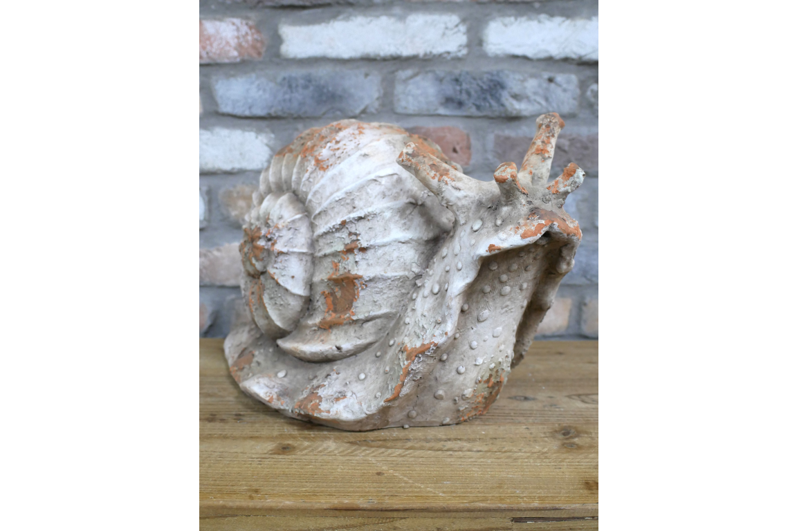 Snail