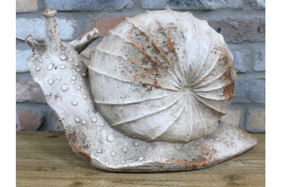 Snail
