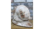 Snail