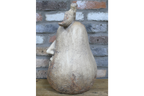 Pear Face