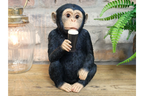Monkey McGuinness