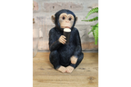 Monkey McGuinness