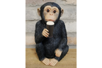 Monkey McGuinness