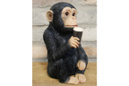 Monkey McGuinness