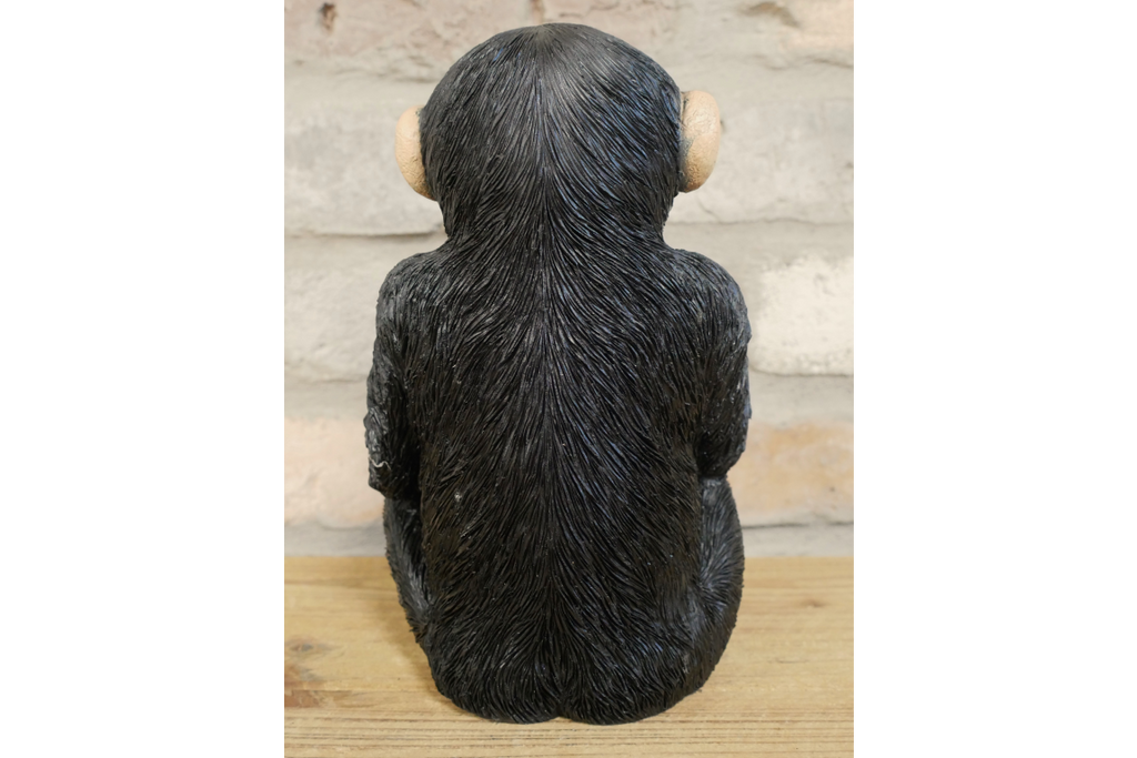 Monkey McGuinness