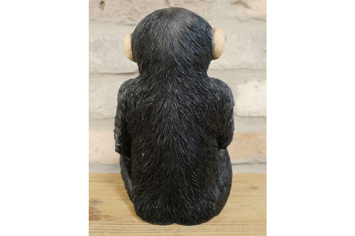 Monkey McGuinness