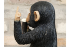 Up Yours Guinness Monkey
