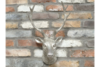 Silver Stag Head