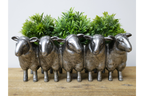 Sheep Planter