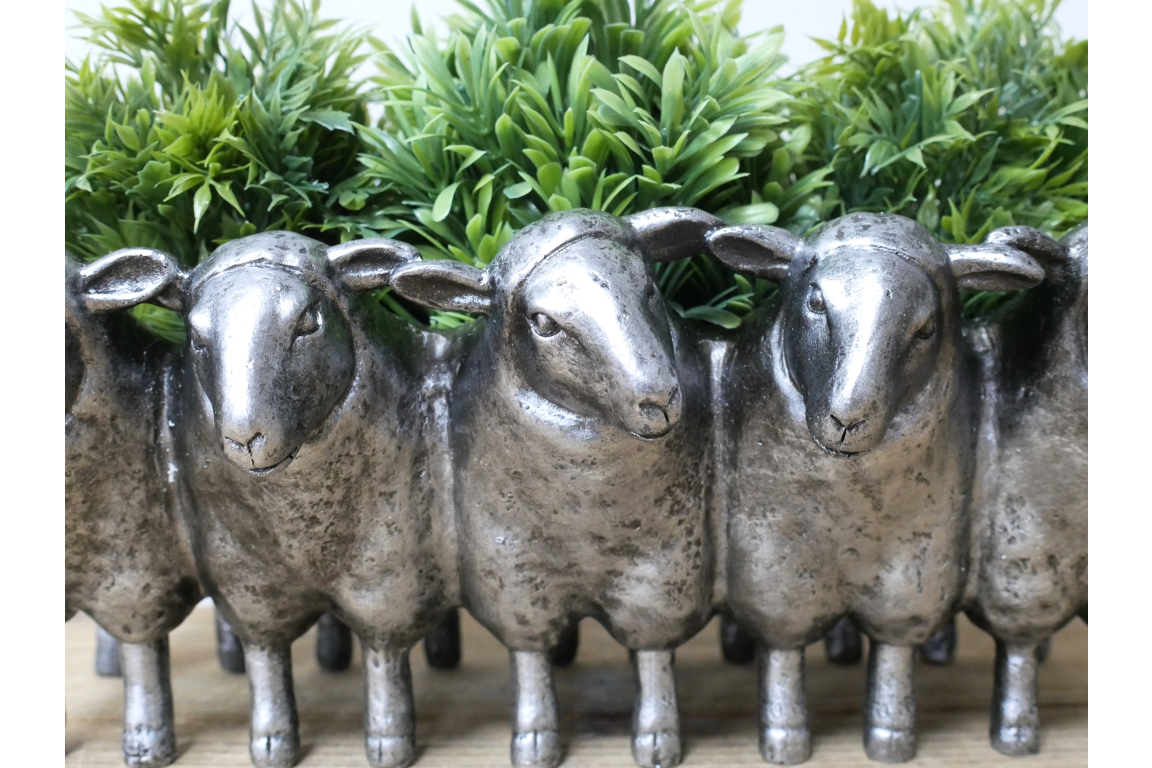 Sheep Planter