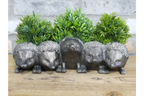 Hedgehogs Planter