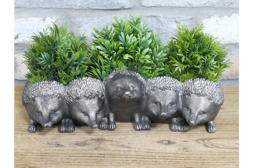 Hedgehogs Planter